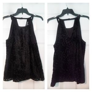 Brixon Ivy Velvet Halter Top